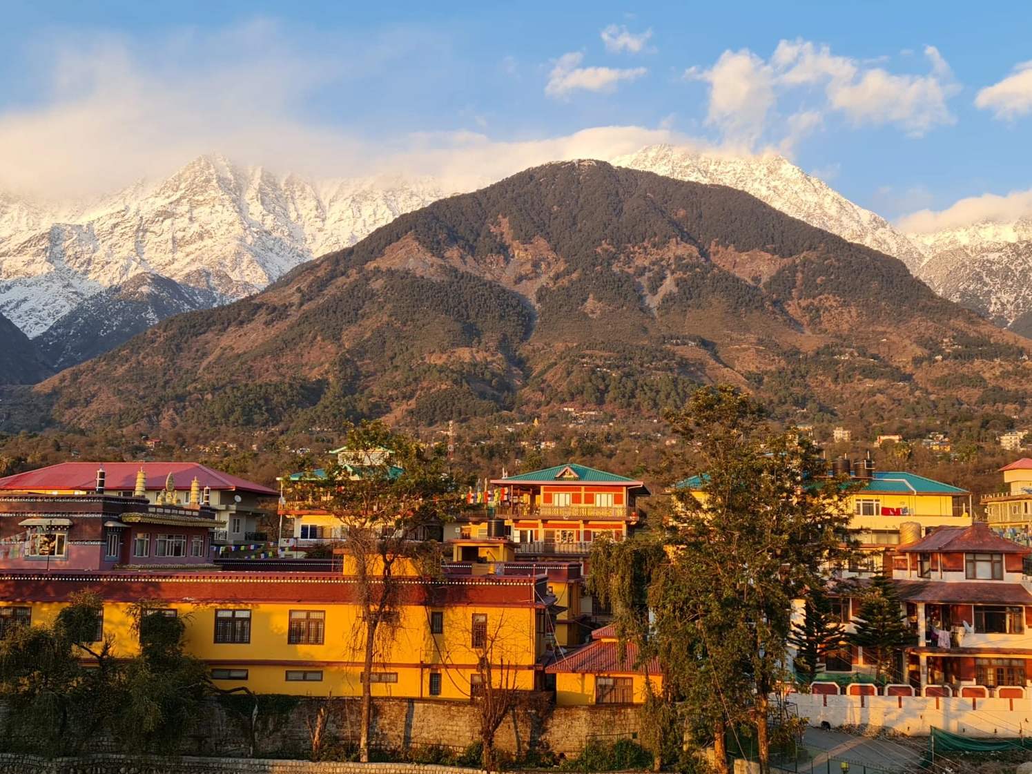 The Dhauladhar range above Dharamshala