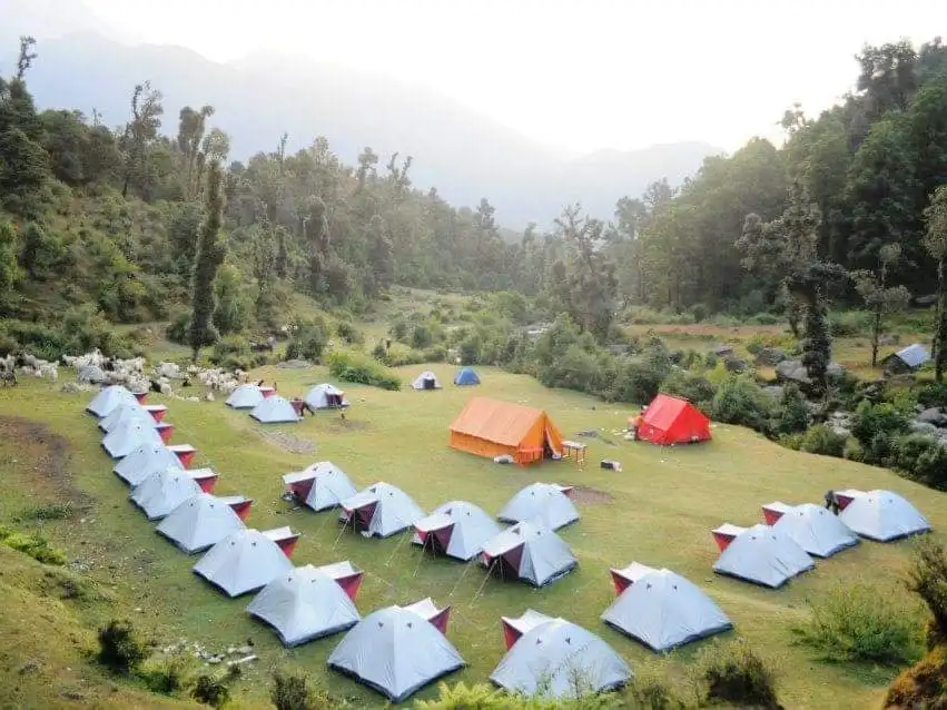 Tents on a green meadow below forest in the Dhauladhar, with a shepherd's flock of sheep and goats grazing nearby