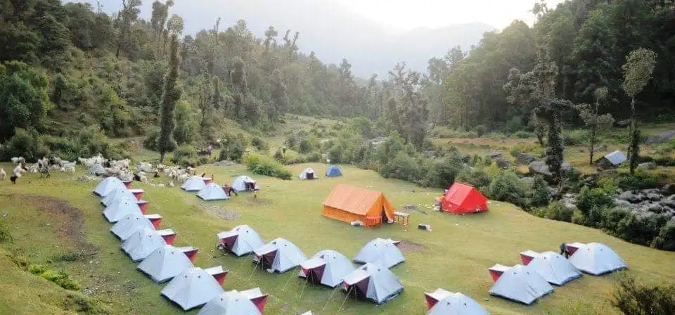 Tents on a green meadow below forest in the Dhauladhar, with a shepherd's flock of sheep and goats grazing nearby