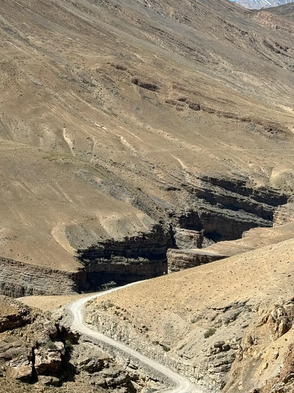 A gravel road winds into a dark canyon between bare brown slopes in Spiti