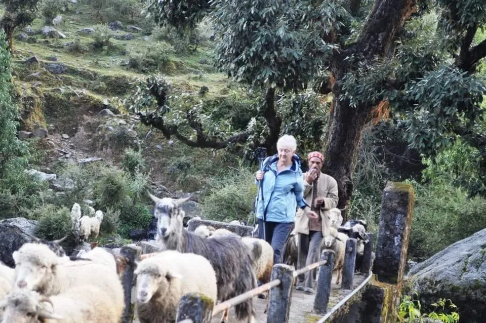 A trekker in a blue jacket crosses a narrow stone bridge behind a shepherd and his flock of sheep and goats