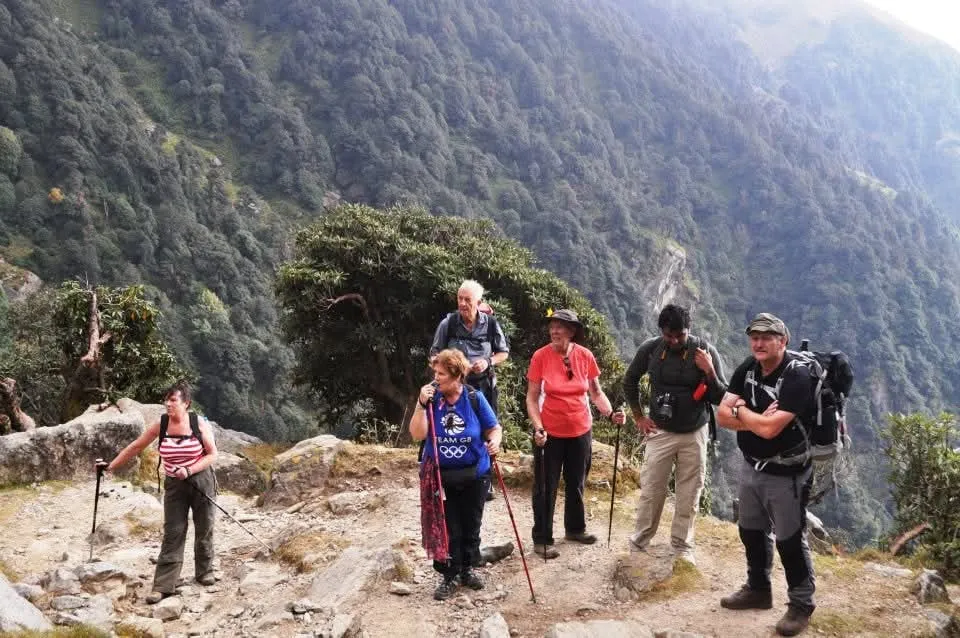 Trekkers with walking poles pause on a rocky path above a forested Dhauladhar valley