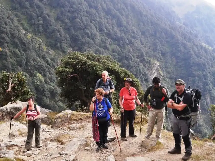 A group of older trekkers with walking poles pauses on a rocky path above a forested Dhauladhar valley