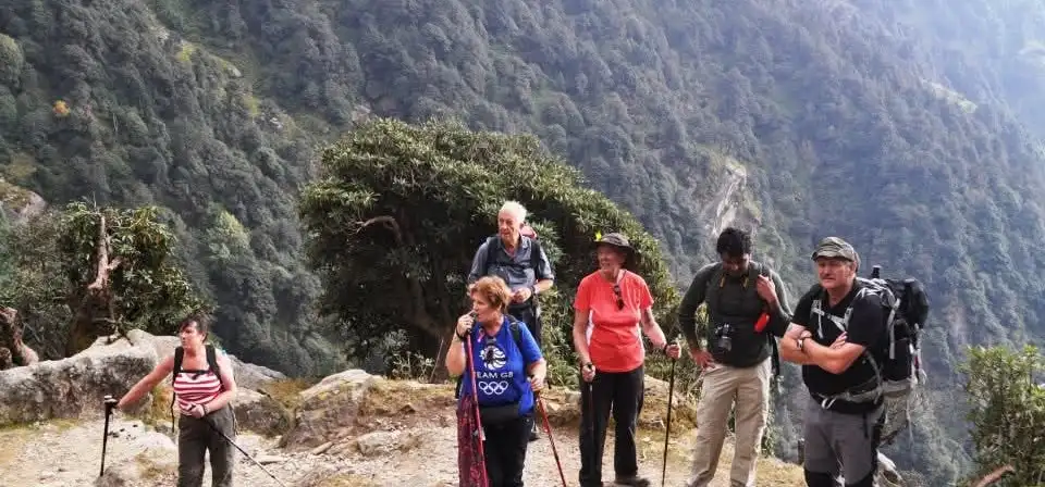 A group of older trekkers with walking poles pauses on a rocky path above a forested Dhauladhar valley