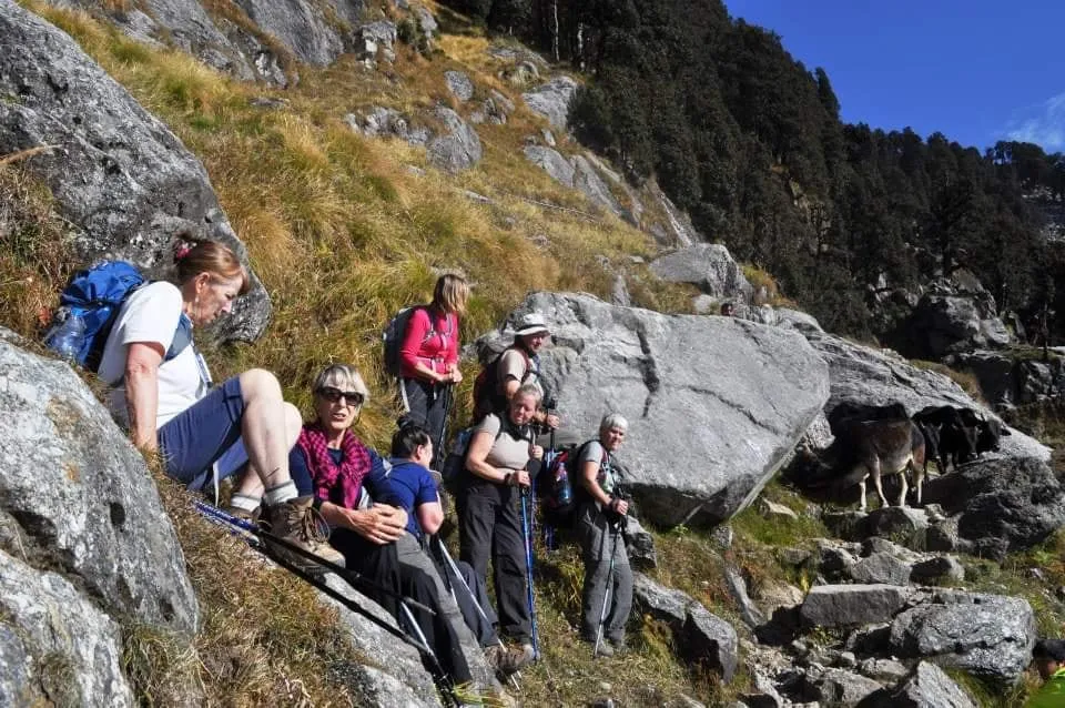 A group of trekkers rests on large boulders on a grassy slope, with pine forest above